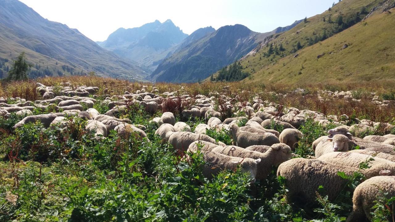 Aiguille Noire Ξενοδοχείο Valloire Εξωτερικό φωτογραφία